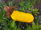 Yellow knitted sweater for dachshund or small dog dachshundknit