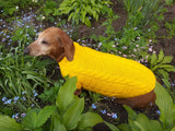Yellow knitted sweater for dachshund or small dog dachshundknit
