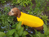 Yellow knitted sweater for dachshund or small dog dachshundknit
