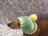 Warm winter hat with pompom for small dog