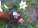 Halloween hat for dog with skull and cross bones