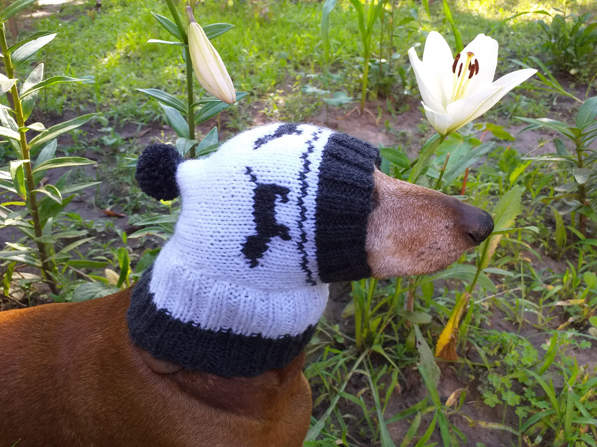 Hat for dachshund with dogs, knitted hat for dogs with dogs – dachshundknit