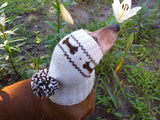 Clothing for dog hat with bones