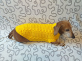 Yellow knitted sweater for dachshund or small dog dachshundknit