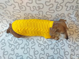 Yellow knitted sweater for dachshund or small dog dachshundknit
