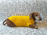 Yellow knitted sweater for dachshund or small dog dachshundknit