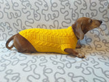 Yellow knitted sweater for dachshund or small dog dachshundknit