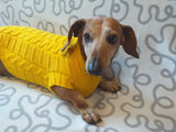 Yellow knitted sweater for dachshund or small dog dachshundknit