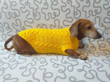 Yellow knitted sweater for dachshund or small dog dachshundknit
