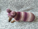 Dachshund costume sweater and hat with two pompoms