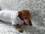 Dachshund Clothing: White Party Sweater, White Dachshund or Small Dog Sweater