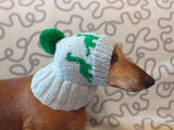 Dinosaur dog clothes pom pom hat, dinosaur hat for dachshund dog