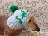 Dinosaur dog clothes pom pom hat, dinosaur hat for dachshund dog