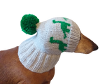 Dinosaur dog clothes pom pom hat, dinosaur hat for dachshund dog