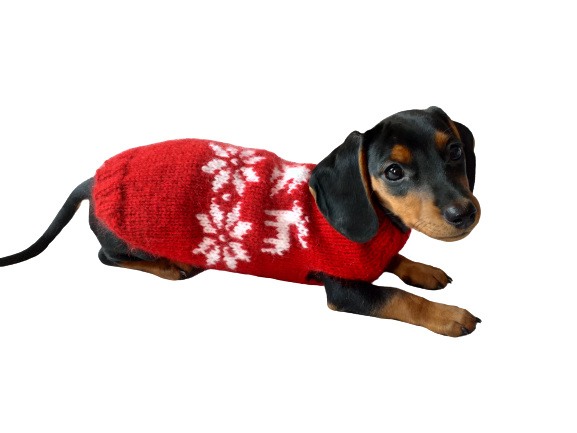 Christmas wool sweater with deer and snowflakes for a small dog sweater deer for dog christmas sweater with deer for little dachshund dachshundknit