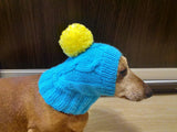 Blue hat with yellow pompom for small dogs, dog clothes hat with pompom, dachshund hat with pompom - dachshundknit