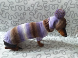 Costume for miniature dachshund sweater and hat, Doxie sweater and hat set, clothes for small dog of dachshund