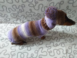 Costume for miniature dachshund sweater and hat, Doxie sweater and hat set, clothes for small dog of dachshund