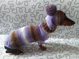 Costume for miniature dachshund sweater and hat, Doxie sweater and hat set, clothes for small dog of dachshund