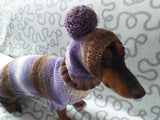 Costume for miniature dachshund sweater and hat, Doxie sweater and hat set, clothes for small dog of dachshund