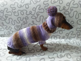 Costume for miniature dachshund sweater and hat, Doxie sweater and hat set, clothes for small dog of dachshund