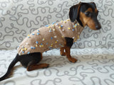 Jumper with flowers for a mini dachshund,Sweater with flowers and butterflies for miniature dachshund or small dog. dachshundknit