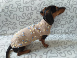Jumper with flowers for a mini dachshund,Sweater with flowers and butterflies for miniature dachshund or small dog. dachshundknit