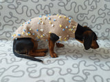 Jumper with flowers for a mini dachshund,Sweater with flowers and butterflies for miniature dachshund or small dog. dachshundknit