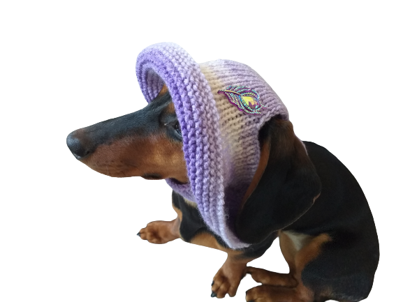 Dog headwear hotsell