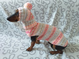 Clothes suit for mini dachshund or small dog knitted sweater and hat dachshundknit