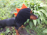 Dinosaur hat for dog, dinosaur dachshund knitted hat, dino dog clothes