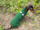 Sweater cactus for a dog, dachshund cactus knitted clothes for dogs dachshundknit