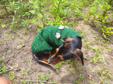 Sweater cactus for a dog, dachshund cactus knitted clothes for dogs dachshundknit