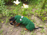 Sweater cactus for a dog, dachshund cactus knitted clothes for dogs dachshundknit