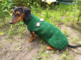 Sweater cactus for a dog, dachshund cactus knitted clothes for dogs dachshundknit
