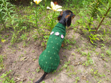 Sweater cactus for a dog, dachshund cactus knitted clothes for dogs dachshundknit
