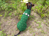 Sweater cactus for a dog, dachshund cactus knitted clothes for dogs dachshundknit