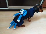 Clothes with toy dog for dachshund or small dog, Mini Dachshund Jumper, Clothes Dog Sweater, Sweater for miniature dachshund or small dog