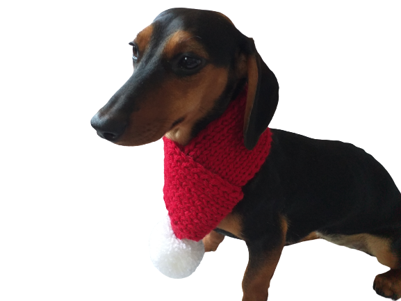 Knitted christmas winter dog scarf with pompom – dachshundknit