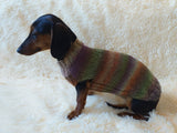 Size L Warm coat for dachshund puppy or small dog, knitted jumper for puppy dachshund, dachshund puppy clothes, wool sweater for small dog