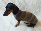 Size L Warm coat for dachshund puppy or small dog, knitted jumper for puppy dachshund, dachshund puppy clothes, wool sweater for small dog