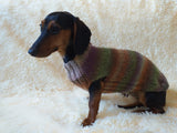Size L Warm coat for dachshund puppy or small dog, knitted jumper for puppy dachshund, dachshund puppy clothes, wool sweater for small dog