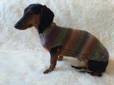 Size L Warm coat for dachshund puppy or small dog, knitted jumper for puppy dachshund, dachshund puppy clothes, wool sweater for small dog