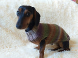 Size L Warm coat for dachshund puppy or small dog, knitted jumper for puppy dachshund, dachshund puppy clothes, wool sweater for small dog