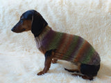 Size L Warm coat for dachshund puppy or small dog, knitted jumper for puppy dachshund, dachshund puppy clothes, wool sweater for small dog