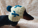 Cactus hat for dog