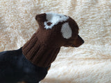 Winter knitted hat bear for dachshund or small dog