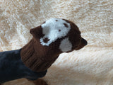 Winter knitted hat bear for dachshund or small dog