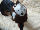 Winter knitted hat bear for dachshund or small dog