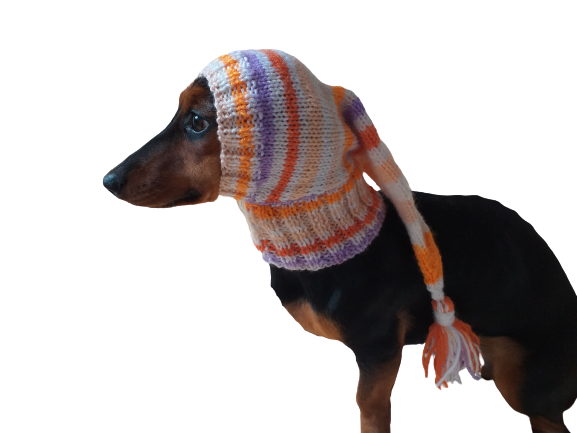 Dachshund 2025 christmas clothes